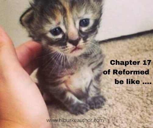 chapter 17 kitten